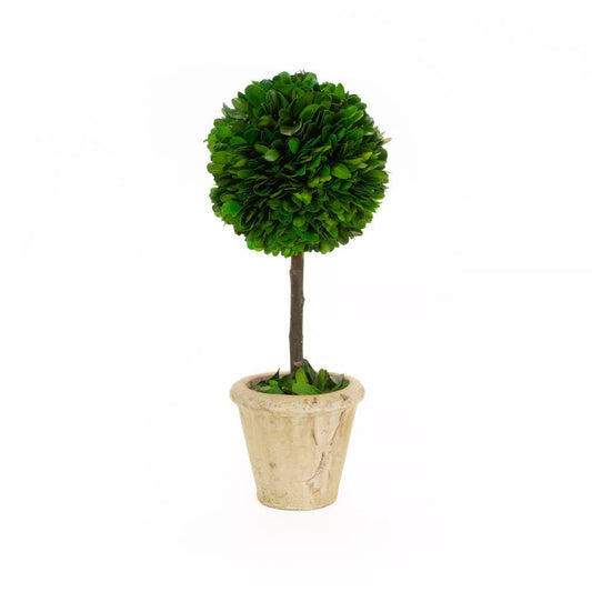 Boxwood Topiary Ball