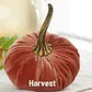 Velvet Pumpkins